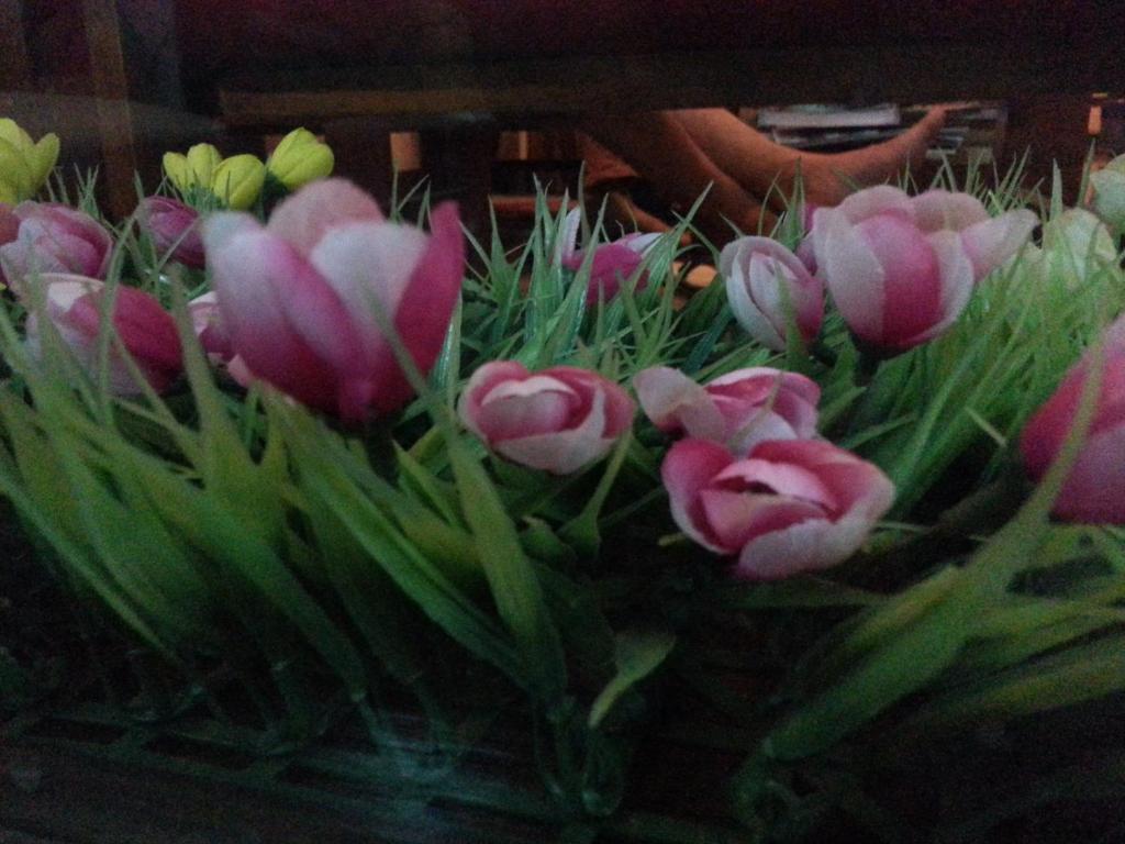 Pink Tulip Hotel TP. Hồ Chí Minh Ngoại thất bức ảnh