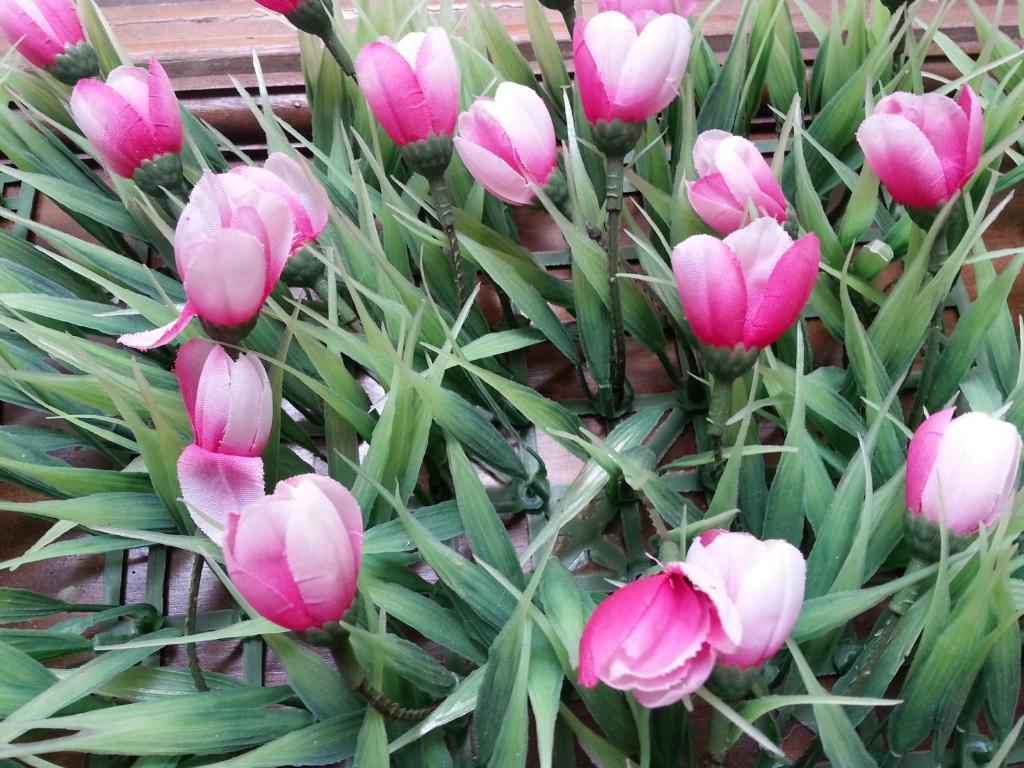 Pink Tulip Hotel TP. Hồ Chí Minh Ngoại thất bức ảnh